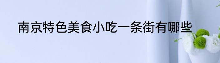 南京特色美食小吃一条街有哪些