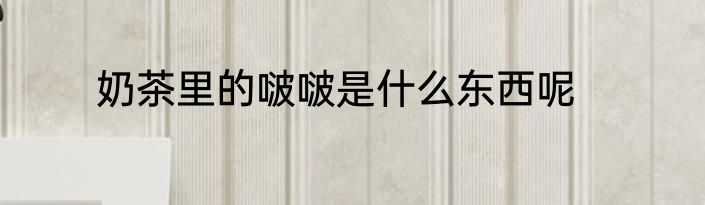 奶茶里的啵啵是什么东西呢