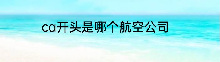ca开头是哪个航空公司