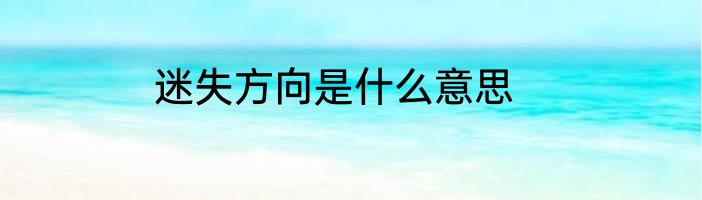 迷失方向是什么意思