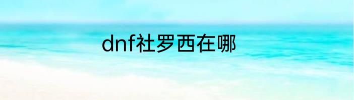 dnf社罗西在哪