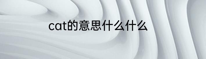 cat的意思什么什么