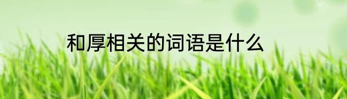 和厚相关的词语是什么