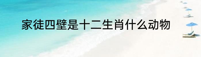 南方航空经济舱和明珠经济舱的区别是什么