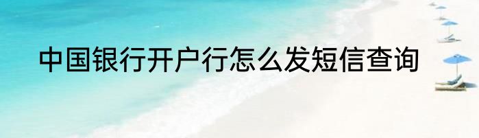中国银行开户行怎么发短信查询
