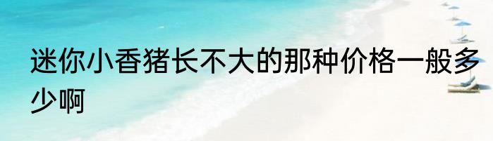 迷你小香猪长不大的那种价格一般多少啊