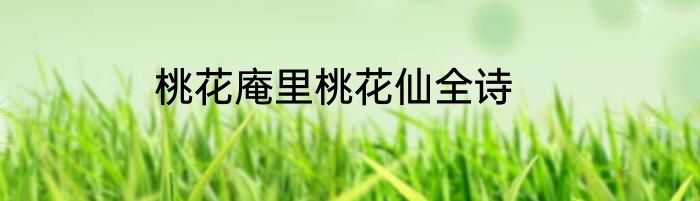 桃花庵里桃花仙全诗