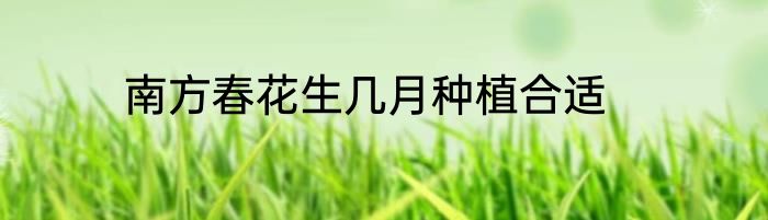 南方春花生几月种植合适