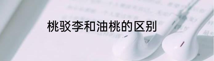 桃驳李和油桃的区别