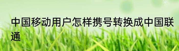 中国移动用户怎样携号转换成中国联通