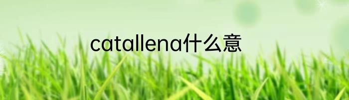 catallena什么意