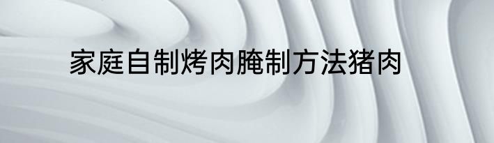 家庭自制烤肉腌制方法猪肉