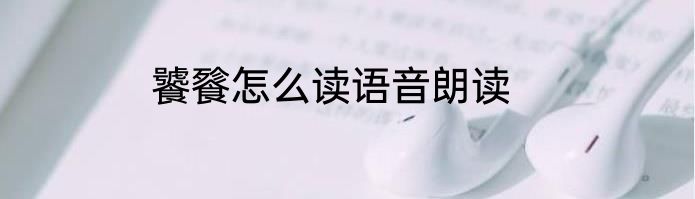 饕餮怎么读语音朗读