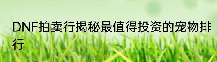 DNF拍卖行揭秘最值得投资的宠物排行