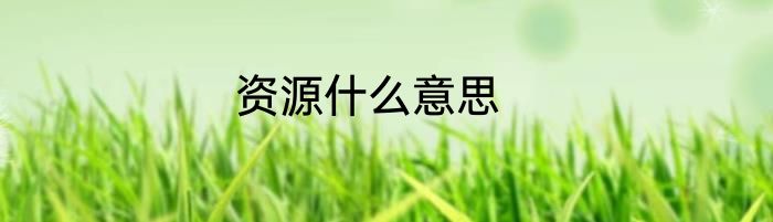 资源什么意思