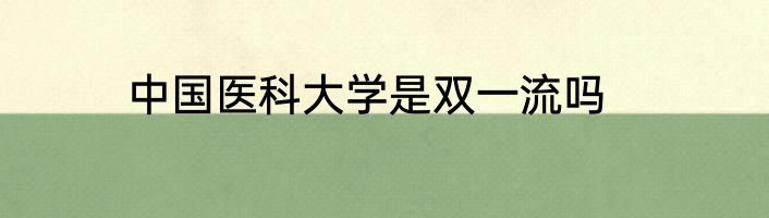 中国医科大学是双一流吗