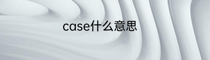 case什么意思