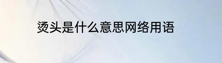 烫头是什么意思网络用语