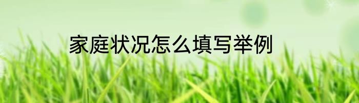 家庭状况怎么填写举例