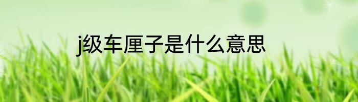 j级车厘子是什么意思