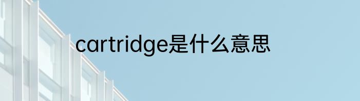 cartridge是什么意思