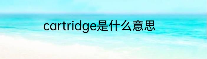 cartridge是什么意思
