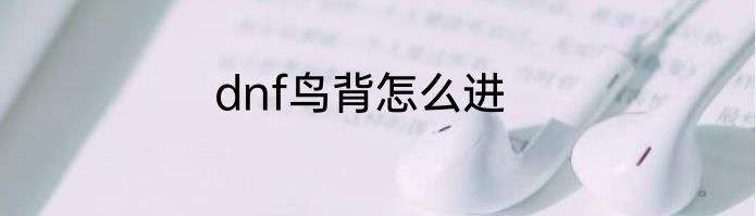 dnf鸟背怎么进