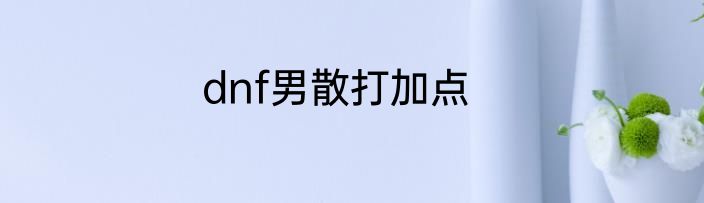 dnf男散打加点