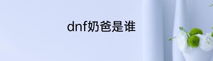 dnf奶爸是谁