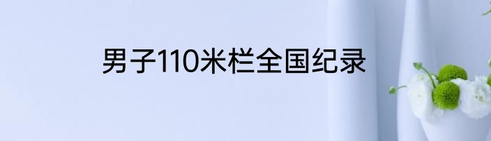 男子110米栏全国纪录