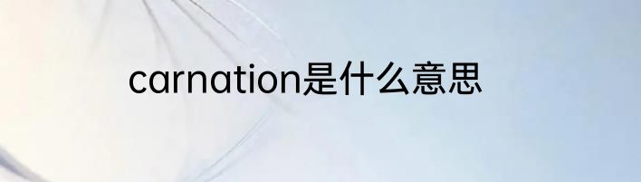 carnation是什么意思
