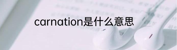 carnation是什么意思