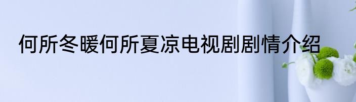 何所冬暖何所夏凉电视剧剧情介绍