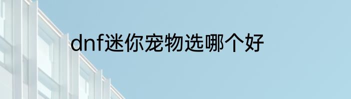 dnf迷你宠物选哪个好
