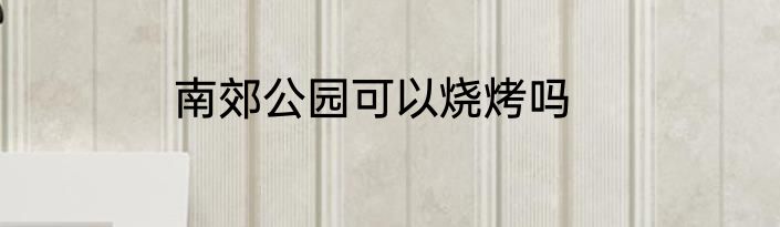 南郊公园可以烧烤吗