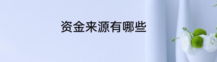 资金来源有哪些