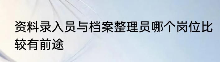 资料录入员与档案整理员哪个岗位比较有前途