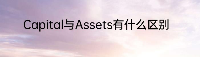 Capital与Assets有什么区别
