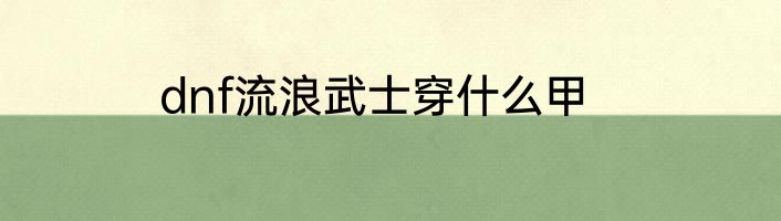dnf流浪武士穿什么甲