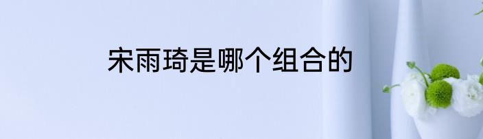 宋雨琦是哪个组合的