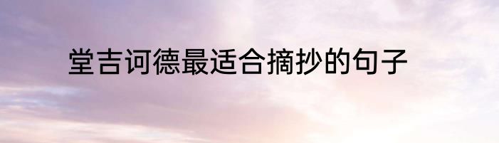 堂吉诃德最适合摘抄的句子