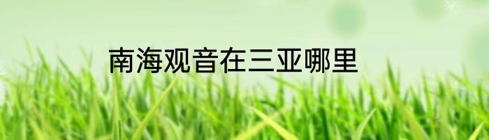 南海观音在三亚哪里