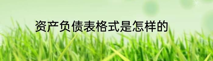 资产负债表格式是怎样的
