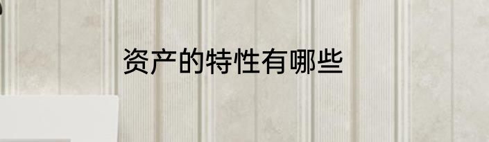资产的特性有哪些
