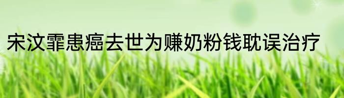 宋汶霏患癌去世为赚奶粉钱耽误治疗
