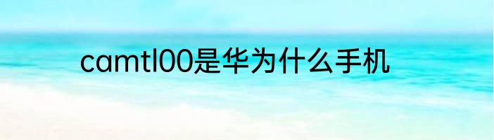 camtl00是华为什么手机