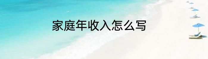 家庭年收入怎么写