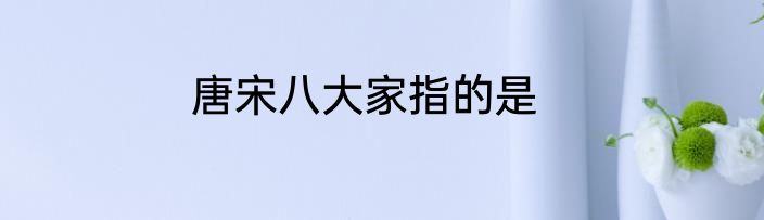 唐宋八大家指的是