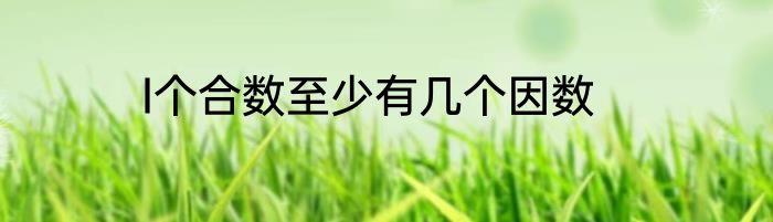 I个合数至少有几个因数