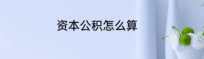 资本公积怎么算